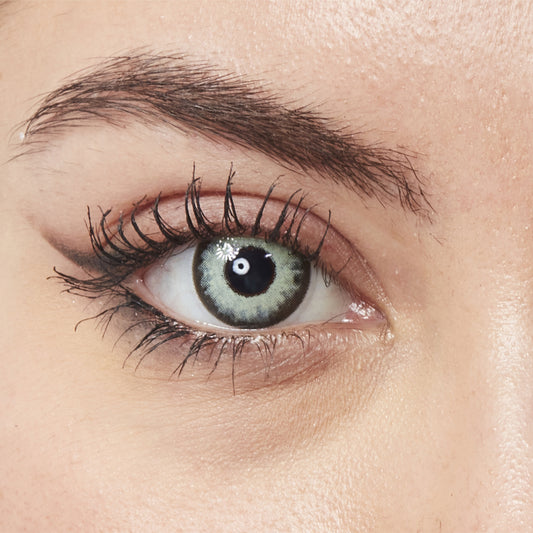 Hypnotic Secret Grove