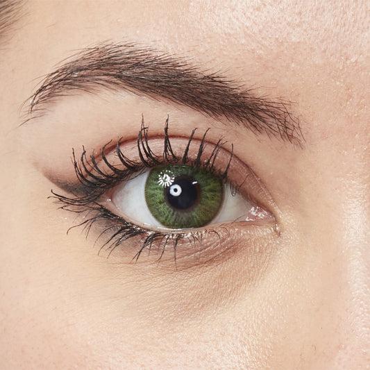 Floria Green